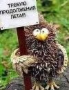 Аватара пользователя