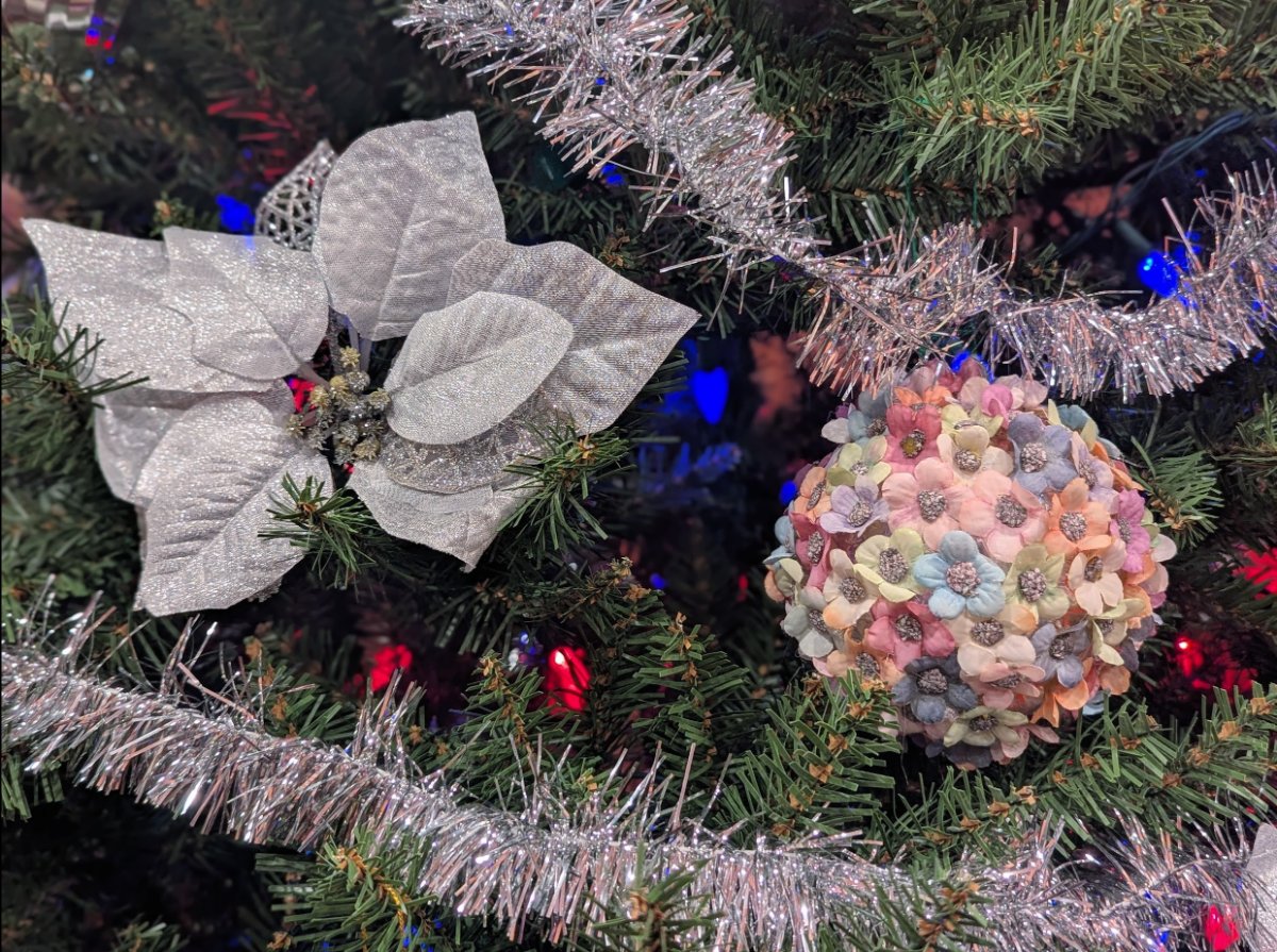 Screenshot 2025-12-20 174748.jpg