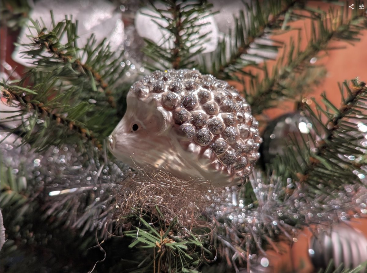 Screenshot 2025-12-21 215206.jpg