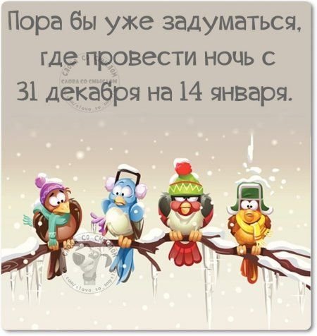 С Новым годом 2026.jpg