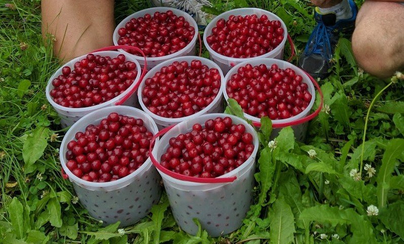 Screenshot 2026-01-08 232601.jpg