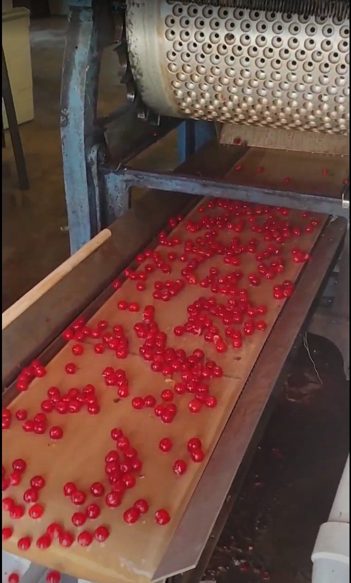 Screenshot 2026-01-08 232657.jpg