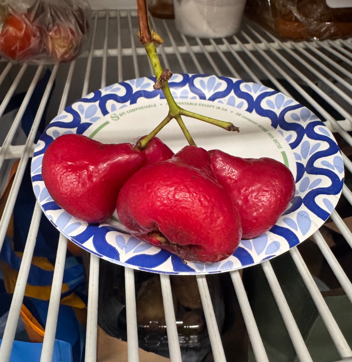 IMG_6994.jpeg
