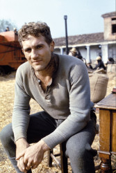 Gérard_Depardieu_1976_Novecento.jpg
