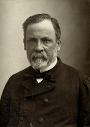 _V0026980.jpg