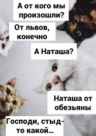 download (1).jpeg