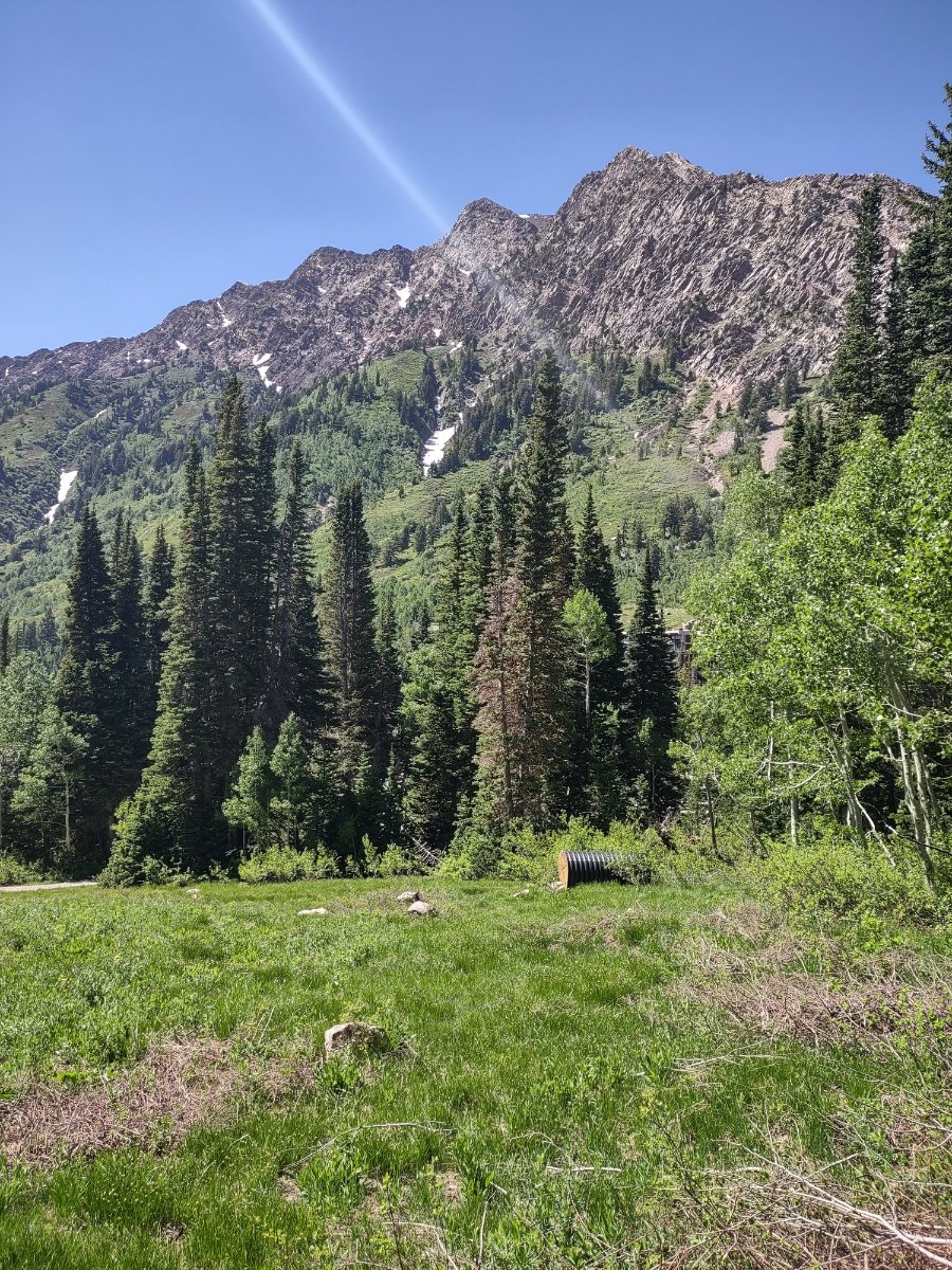 IMG_20240616_154208118_HDR.jpg