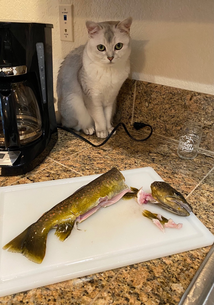 IMG_6208.jpeg