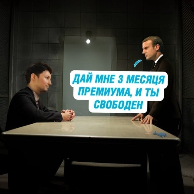 88b5ac82-d45c-40da-956c-9f02d14c0a03.jpg