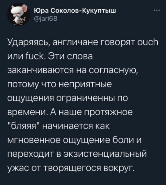 c584233e-370a-4da6-9aeb-01e562a11b81.jpeg