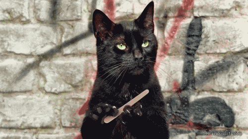 IMG_6167.gif
