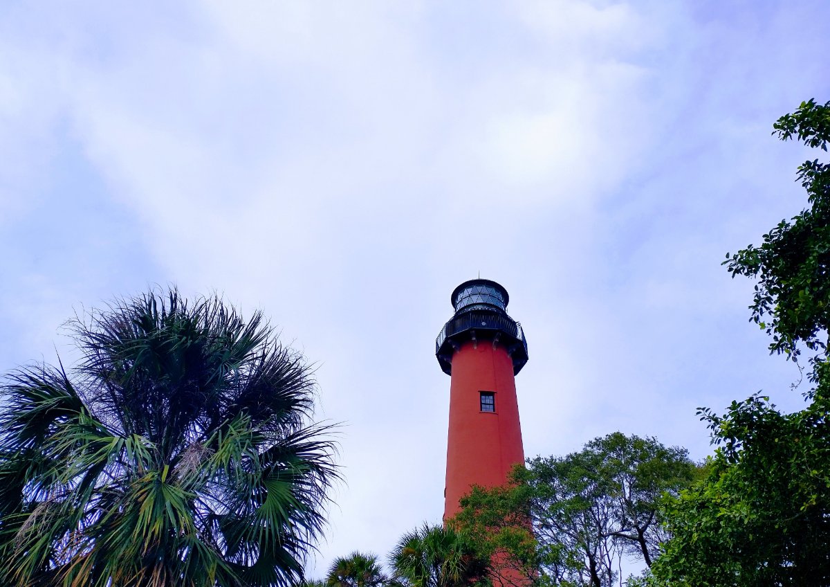 IMG_20241106_162445435_HDR~3.jpg