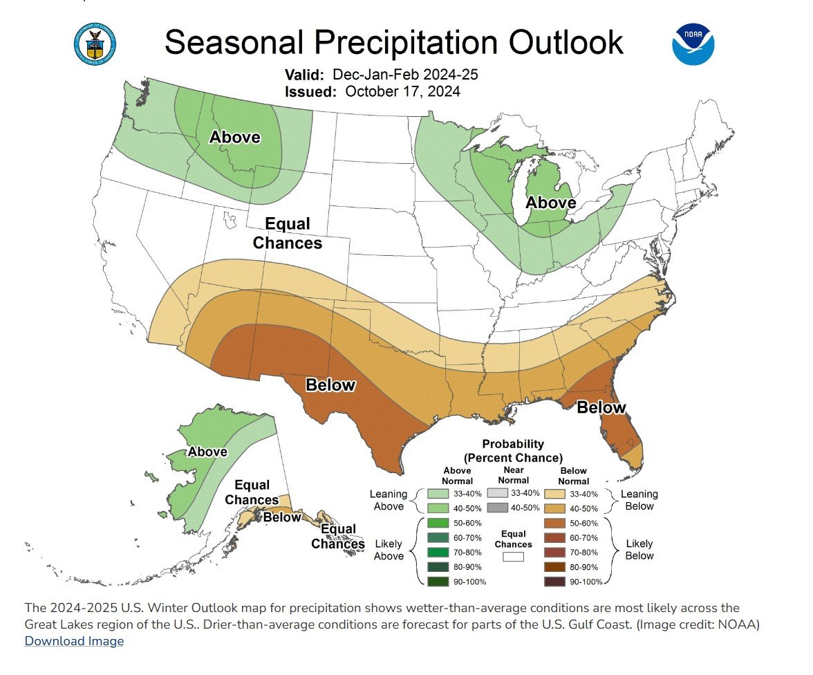Precip.jpg