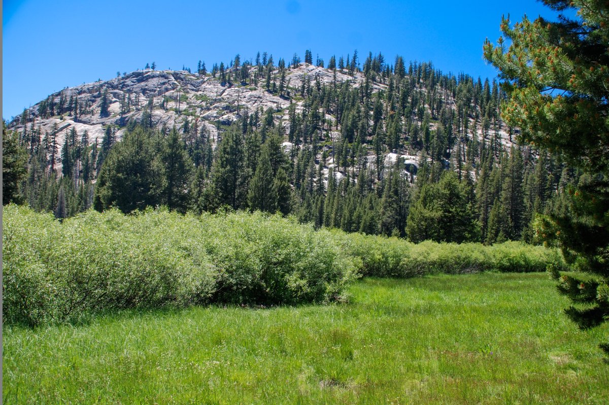 Mammoth2.jpg
