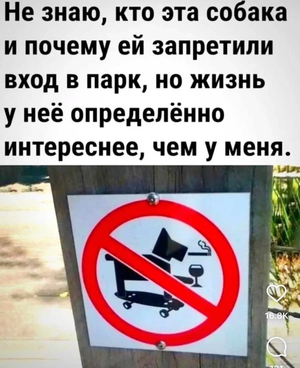 IMG_2856.jpeg