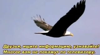 IMG_4621.jpeg