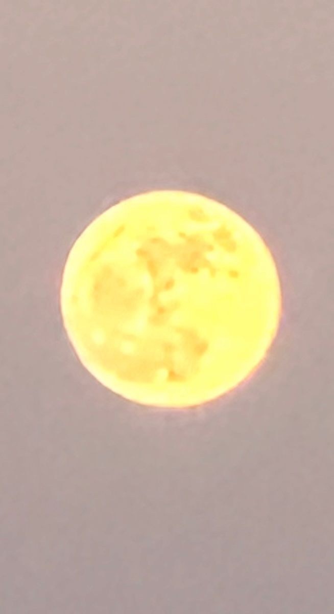 IMG_6384.jpeg