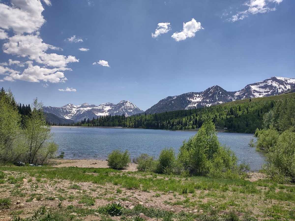 IMG_20250530_145417818_HDR.jpg