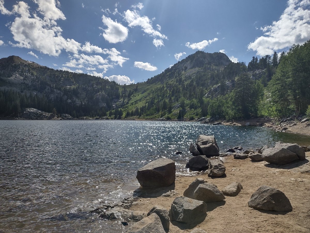 IMG-20250709-164445440-HDR.jpg