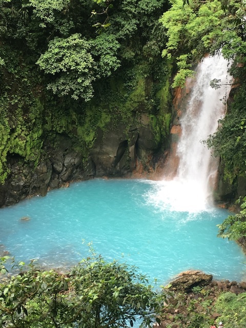 IMG_1516.jpeg