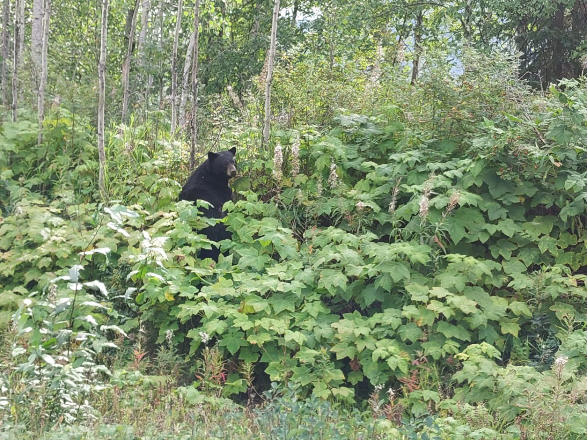 image_2025-09-14_142020601.png
