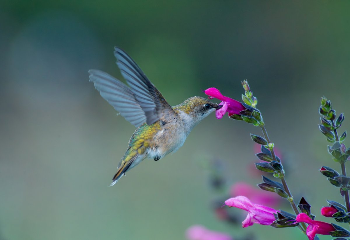 Screenshot 2025-09-28 223749.jpg